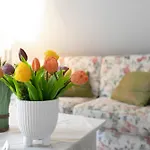 Neumann Apartment *